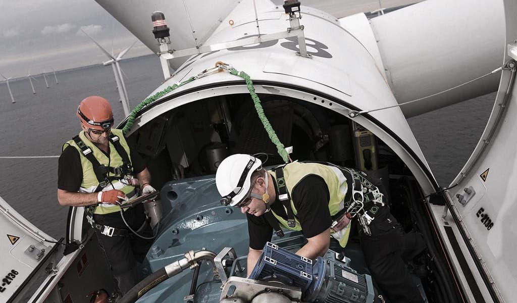 New Year, New Career